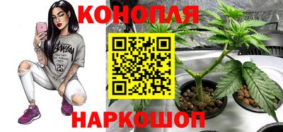 хмурый Нягань